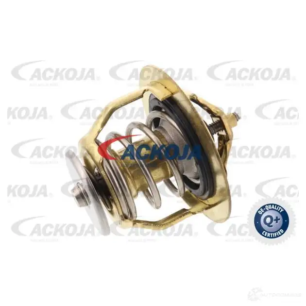 Термостат ож ACKOJA 1424883017 KTM4 51A a37990010 4062375075430 - Изображение 1