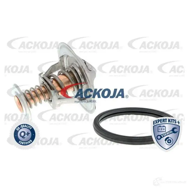 Термостат ож ACKOJA a70990013 4062375075263 1424883173 CZW5O8 L - Изображение 1