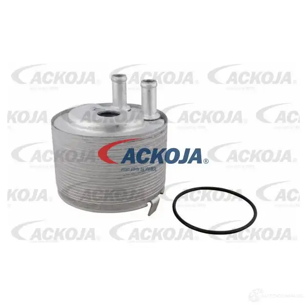 Масляный радиатор двигателя ACKOJA X K1OP a38600012 1438026578 - Изображение 1