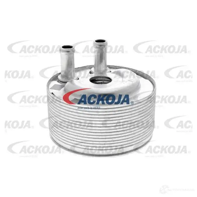 Масляный радиатор двигателя ACKOJA a38600007 1424883029 LQTJ5 U 4062375104246