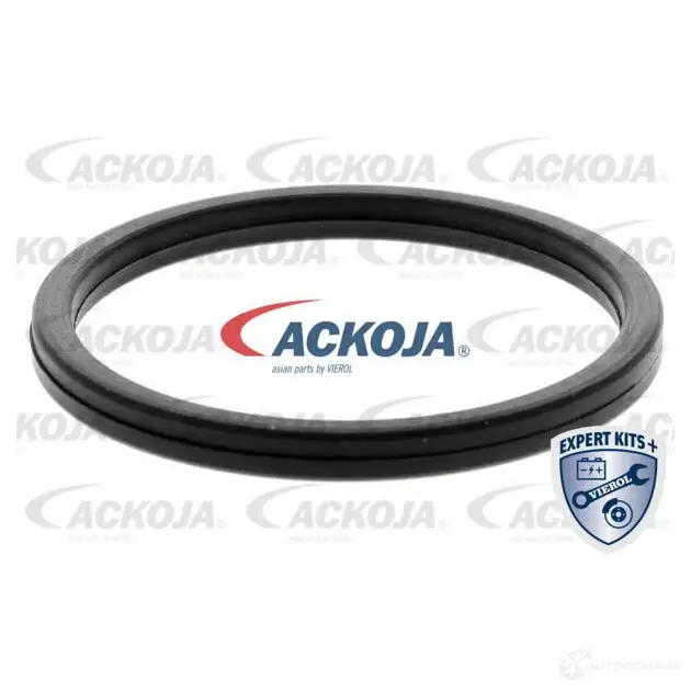 Масляный радиатор двигателя ACKOJA 4062375103355 18L 7E 1424883080 a52600010 изображение 1