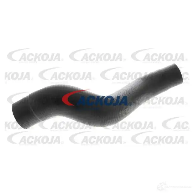 Патрубок радиатора, шланг ACKOJA RDMOL M a381606 1437266844