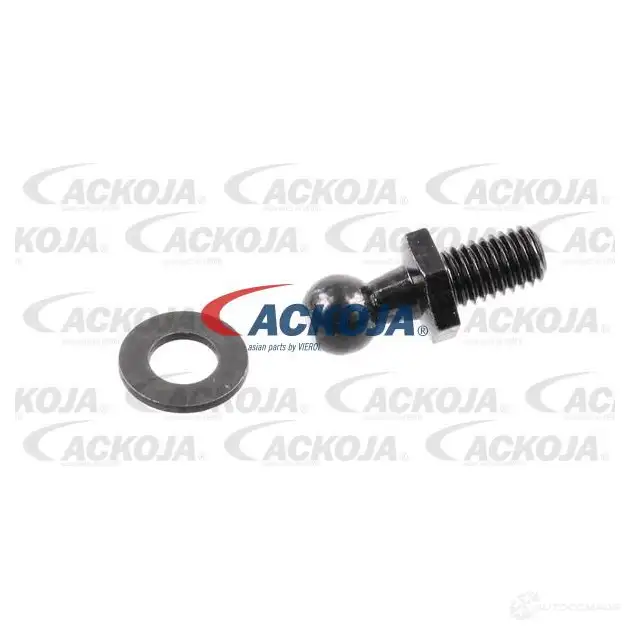 Амортизатор багажника, упор задней двери ACKOJA 1424311489 YWV 9EFU 4062375069835 a520092 изображение 1
