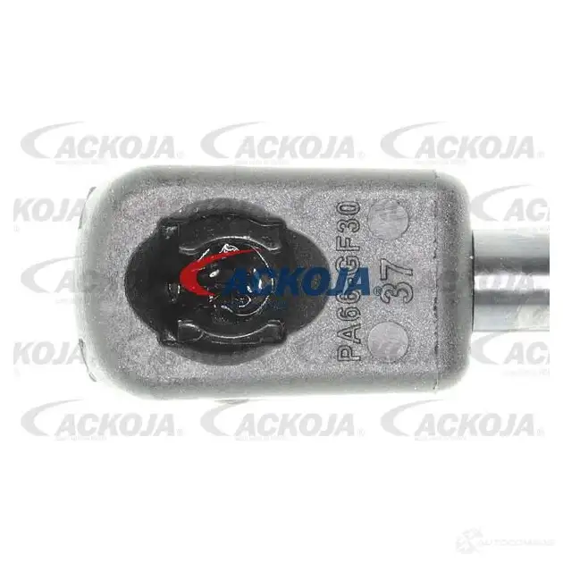 Амортизатор багажника, упор задней двери ACKOJA 822 FRJ a520096 4062375069873 1424311493 изображение 1