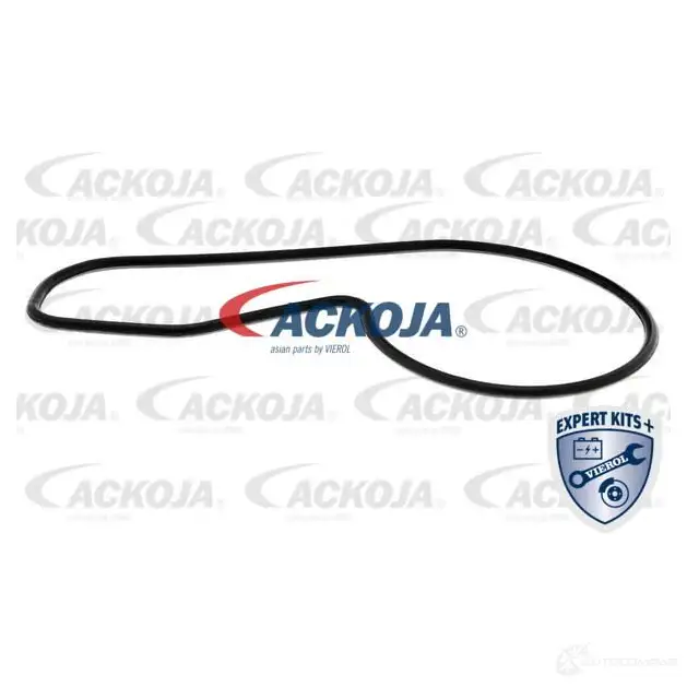 Водяной насос, помпа ACKOJA Z2XKH CQ 4062375019120 1424604180 a260701 изображение 1