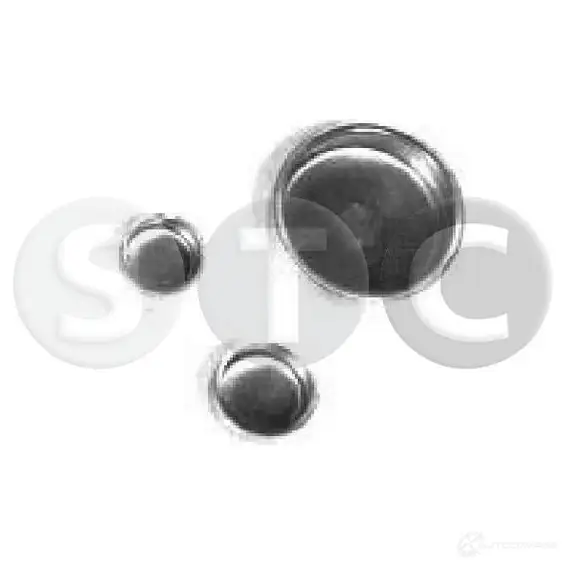 Заглушка отверстия STC t402549 3802770 G GMEO изображение 0