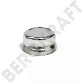 Колпак ступицы BERGKRAFT BK8002407 ZX010082 ZX01 .0082 1194541820