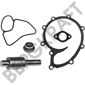 Ремкомплект, водяной насос BERGKRAFT BK8802512 ZX120003 1194545309 ZX12. 0003