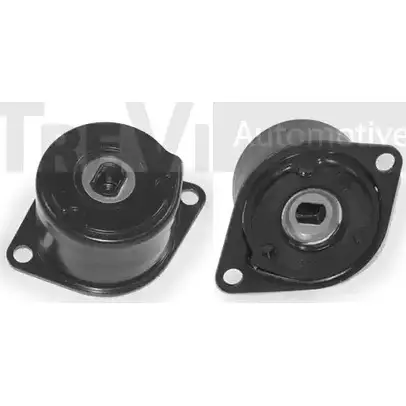 Натяжитель клинового ремня TREVI AUTOMOTIVE 1194579421 R PK010128 TA2058 SK009018 изображение 0