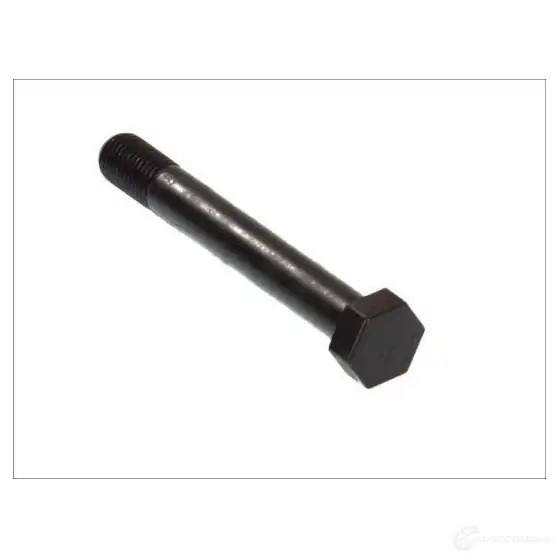 Шкворень поворотного кулака S-TR 3867215 str80325 E2CS53 F изображение 0