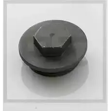 Сливная пробка PE AUTOMOTIVE 4IJQR 1200341085 R GZ8IE 011.344-00A изображение 0