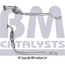 Катализатор BM CATALYSTS BM80050 D3 P09 1202684474 H1T1I изображение 0