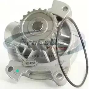 Водяной насос, помпа + комплект зубчатого ремня PROCODIS FRANCE YGOUO3 KPE3067A 1203330872 G97 RF2