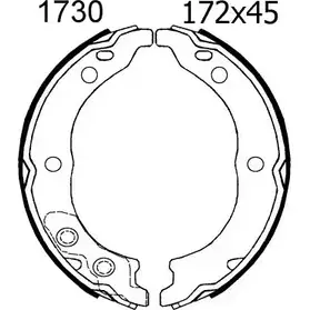 Тормозные колодки ручника, комплект BSF 1203446917 1EHUHC L ADN74W 01730