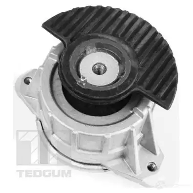 Подушка двигателя, опора TEDGUM 1266885979 C ZT6T0X 00418476