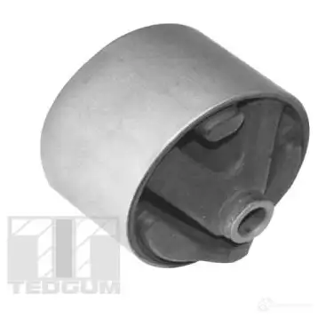 Кронштейн двигателя TEDGUM 1437761464 00341698 PDKI XR3 - Изображение 1