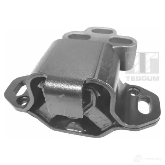 Кронштейн двигателя TEDGUM 1266879131 00224363 GPJ9B HO