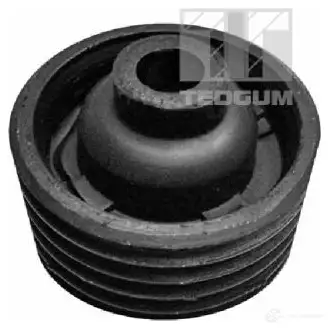 Крепление стойки подвески TEDGUM 00658358 1266893195 E LCRIK3