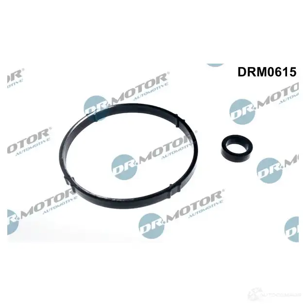 Прокладки масляного фильтра, комплект DR MOTOR AUTOMOTIVE drm0615 1437328668 8G RX8