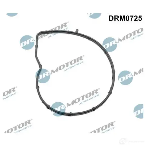 Прокладка водяного насоса, помпы DR MOTOR AUTOMOTIVE 1F R6E3D 1437328958 drm0725