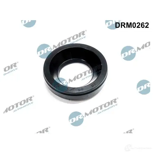 Прокладка держателя форсунки DR MOTOR AUTOMOTIVE 1438027028 2IZN YX drm0262