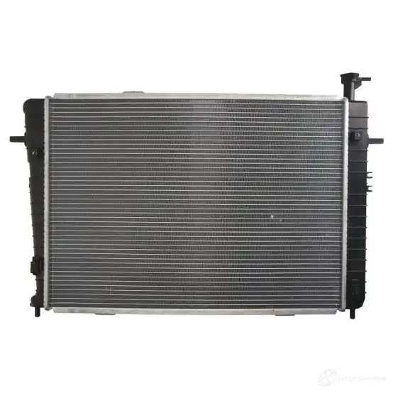 Радиатор охлаждения двигателя THERMOTEC d70308tt 3389009 5901655047271 SL MZ46 изображение 1