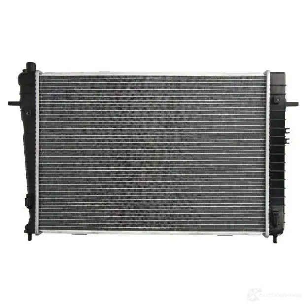 Радиатор охлаждения двигателя THERMOTEC PLGY TZ 3389008 d70307tt 5901655047264 изображение 1