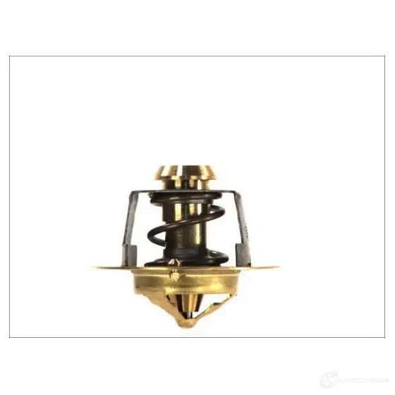 Термостат ож THERMOTEC 3388677 5901655041132 d2g002tt RLT8Z 3 изображение 0