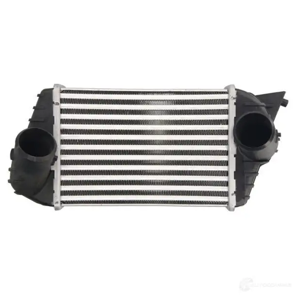 Интеркулер THERMOTEC N YFB5X 1438012608 daf009tt - Изображение 1