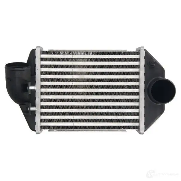 Интеркулер THERMOTEC daa028tt LGPM 8U 1438012558 - Изображение 1
