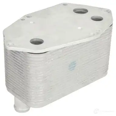 Масляный радиатор двигателя THERMOTEC V1 IBI6 d4b010tt 1264233981 5901655109207 изображение 1