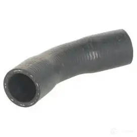 Патрубок радиатора, шланг THERMOTEC 5901655099270 UMW N1OH 1264267677 dwm093tt