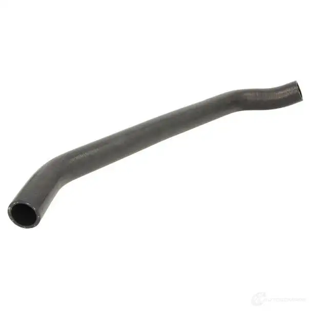 Патрубок радиатора, шланг THERMOTEC BDO VEU1 dww299tt 1437818522