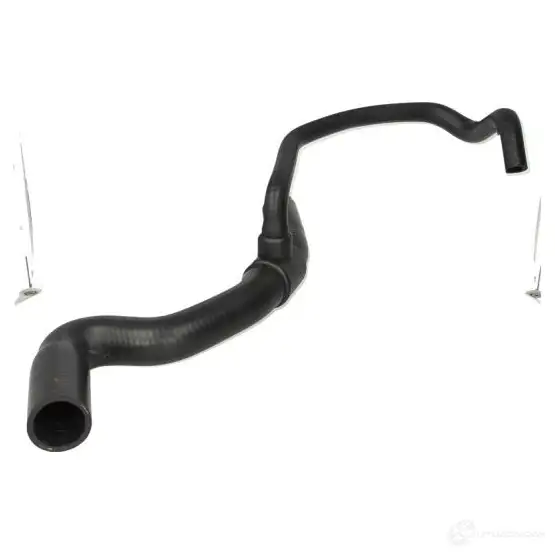 Патрубок радиатора, шланг THERMOTEC dwc013tt 5901655079838 3391244 J5 CG5F