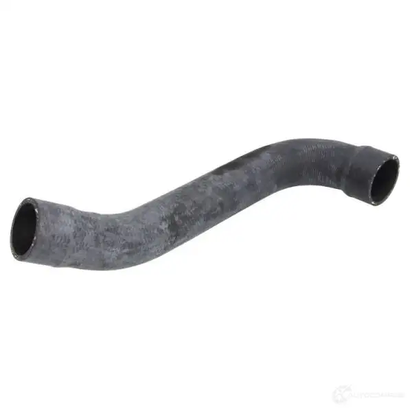 Патрубок радиатора, шланг THERMOTEC 5901655075069 49O9G F7 3391575 dwm031tt