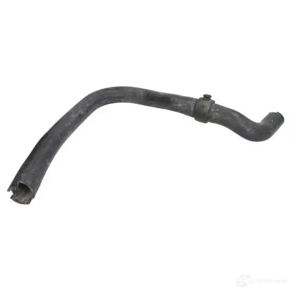 Патрубок радиатора, шланг THERMOTEC 5901655104127 1264269149 dwr208tt 39ZIH3 R