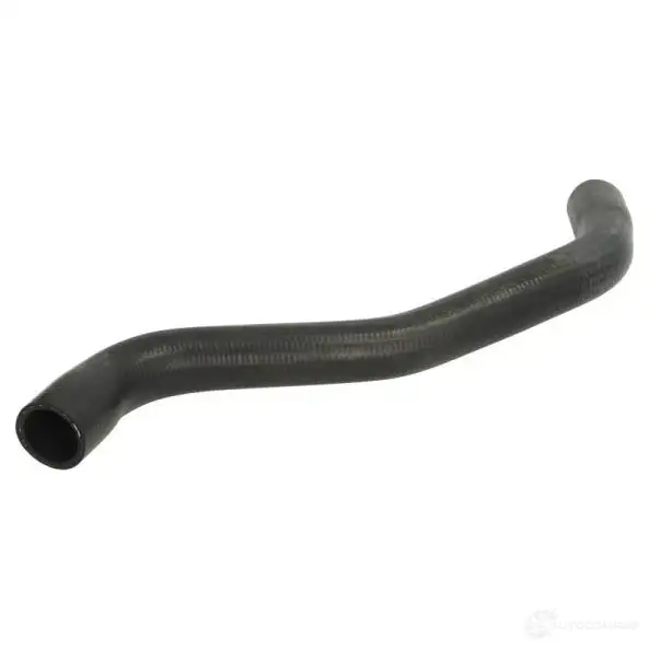 Патрубок радиатора, шланг THERMOTEC 5901655104349 1264269205 GJ FU7 dwr224tt