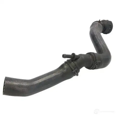 Патрубок радиатора, шланг THERMOTEC 5901655105063 FMN 5P4S dww141tt 1264270399