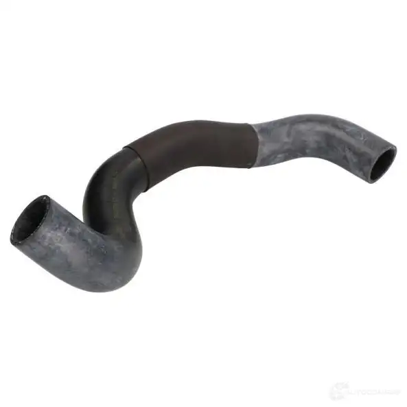Патрубок радиатора, шланг THERMOTEC dw2031tt 1439088335 H7O AN
