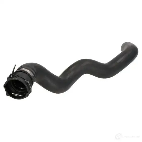 Патрубок радиатора, шланг THERMOTEC 4B BKY3 1439088346 dwx264tt
