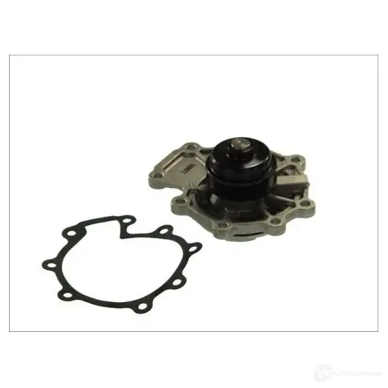 Водяной насос, помпа THERMOTEC 5901655058468 DF0 XT 3388440 d1g015tt - Изображение 1