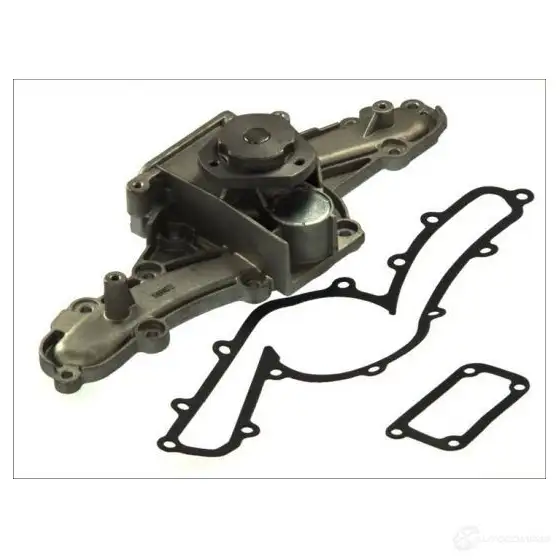 Водяной насос, помпа THERMOTEC 5901655058444 d1d016tt A4P WD 3388407 - Изображение 1