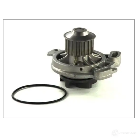 Водяной насос, помпа THERMOTEC 7 JECYV 5901655044317 d1w016tt 3388568 - Изображение 1