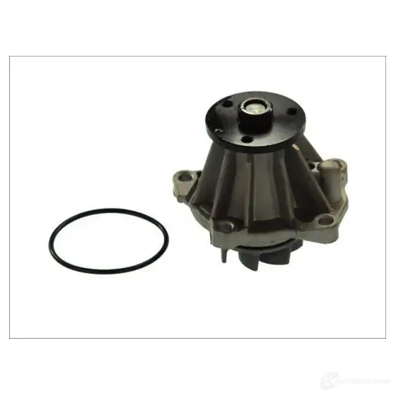 Водяной насос, помпа THERMOTEC AIWG F3U 5901655058475 d1g033tt 3388449 - Изображение 1