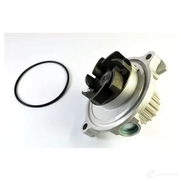 Водяной насос, помпа THERMOTEC 5901655054026 d1a016tt ER SC4 3388370