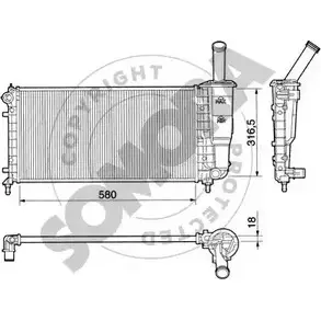 Радиатор охлаждения двигателя SOMORA 1218820253 0TMLR6E 081441 XDRV W0 изображение 0
