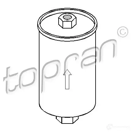 Топливный фильтр TOPRAN 300531 2441908 133N S9 изображение 0