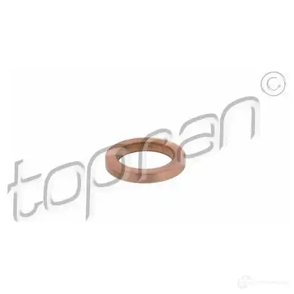 Прокладка турбины TOPRAN 723133 2449827 53 M6W изображение 0
