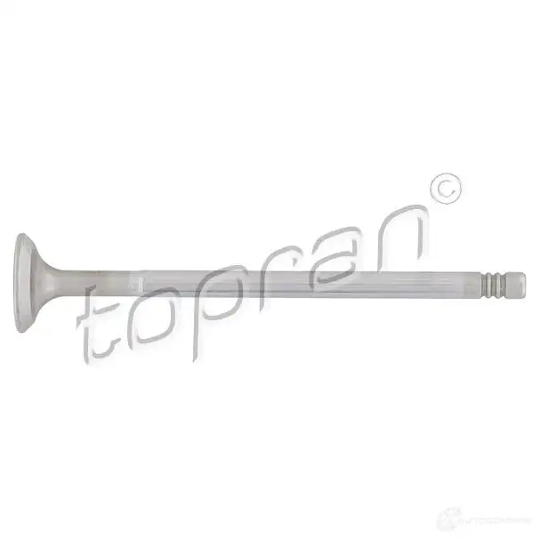Впускной клапан TOPRAN 2441037 F01LR T 207303 изображение 0