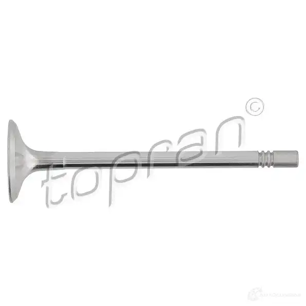 Впускной клапан TOPRAN AHAD6U G 2437036 111597